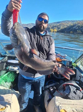 Catfish and Crappie Fishing Trip