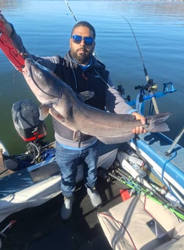Catfish and Crappie Fishing Trip