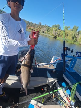 Catfish and Crappie Fishing Trip