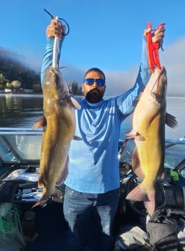 Catfish and Crappie Fishing Trip