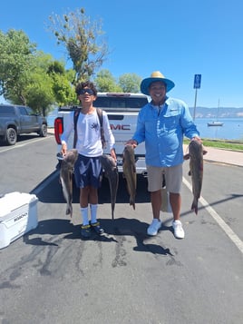 Catfish and Crappie Fishing Trip