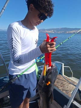 Catfish and Crappie Fishing Trip