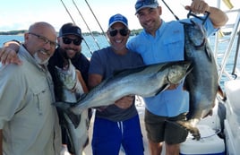 Half Day Trip – Trolling