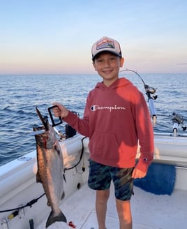 Half Day Trip – Trolling