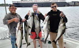 Half Day Trip – Trolling