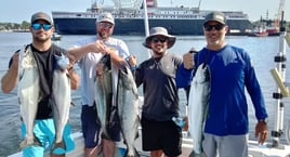 Half Day Trip – Trolling