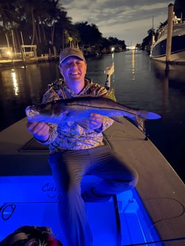 Night Tarpon Fishing