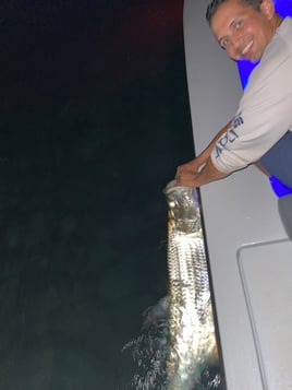 Night Tarpon Fishing