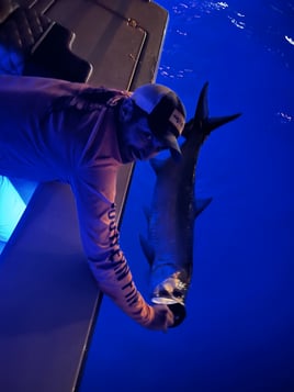 Night Tarpon Fishing