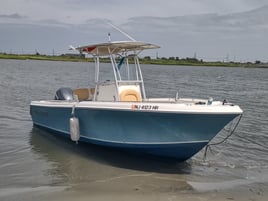 Friday night Beach Concert & Tour