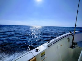 Back Bay fishing