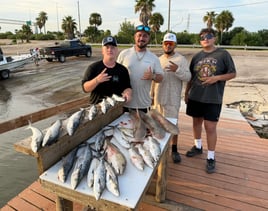 BAY TRIP! The fish are HUNGRY! 