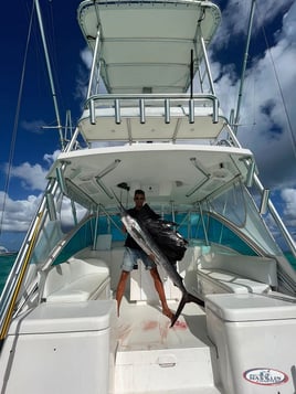 Luhrs 32' Open Big Marlin Charters 