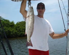 4-6 Hour Trip – Inshore 