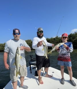 4-6 Hour Trip – Inshore 