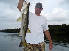 4-6 Hour Trip – Inshore 