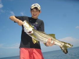 4-6 Hour Trip – Inshore 