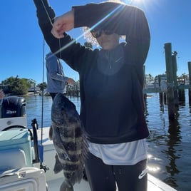 4-6 Hour Trip – Inshore 