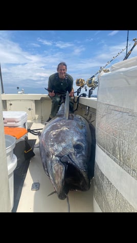Full Day Tuna Trip