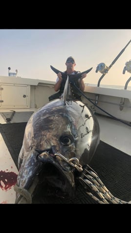 Full Day Tuna Trip