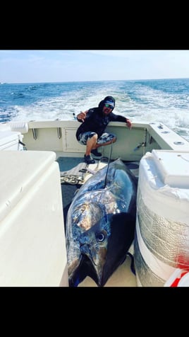 Full Day Tuna Trip
