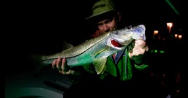 After Hours Sight Fishing