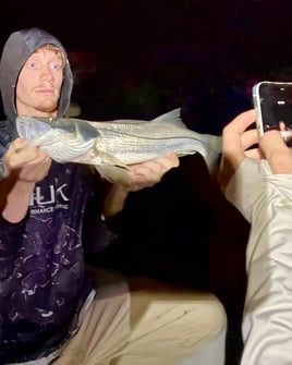 After Hours Sight Fishing