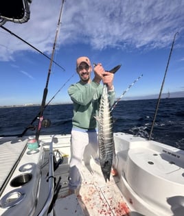 Half Day Offshore Trip