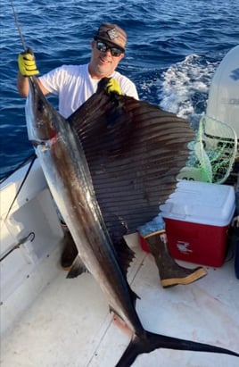 Half Day Offshore Trip