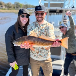 4-6 Hour Trip Trip – Inshore