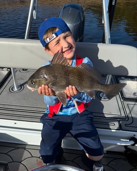 4-6 Hour Trip Trip – Inshore