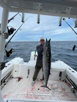 8-12hr Offshore Fishing Trip