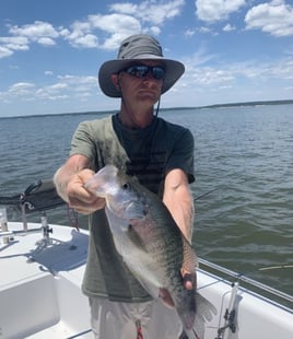 Full Day or Until Limit