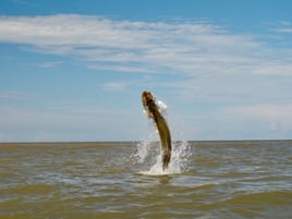 3-days Fishing Trip