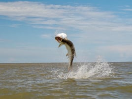 3-days Fishing Trip
