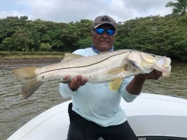 Multiday All-Inclusive Tarpon