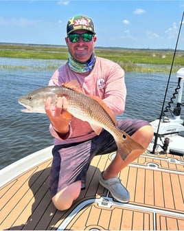 Everglades