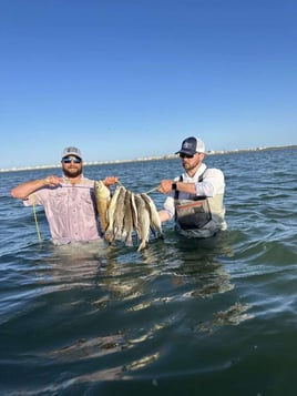 Artificial Only Wade Fishing