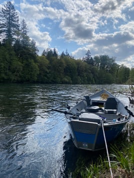 Half Day Trout Fly Fishing