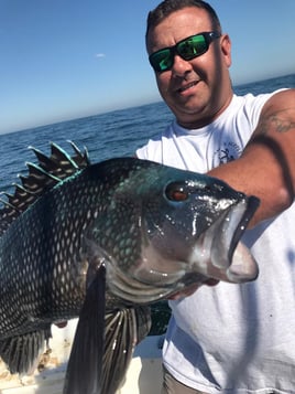 Full Day Inshore Seabass