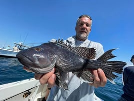 Full Day Inshore Seabass