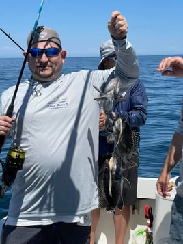 Full Day Inshore Seabass