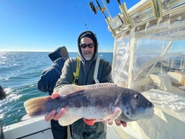 Full Day Inshore Tautog