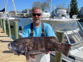 Full Day Inshore Tautog