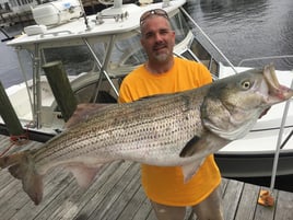 Full Day Trophy Striper