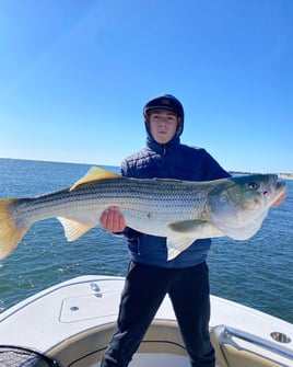 Full Day Trophy Striper