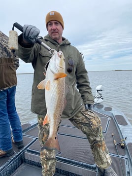 St. Bernard Fishing Trips