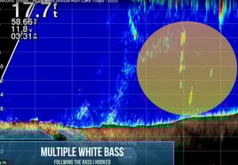 Electronics Mastery!