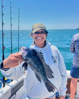 Full-Day Sea Bass & Mahi Trip