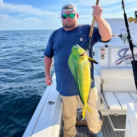 Full-Day Sea Bass & Mahi Trip